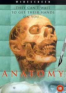 Anatomy