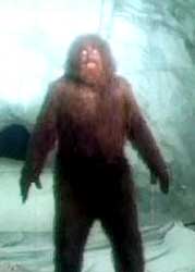 Andre as Bigfoot