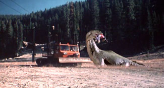 Crater Lake Monster