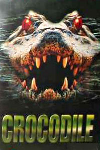 Crocodile