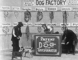 Dog Factory