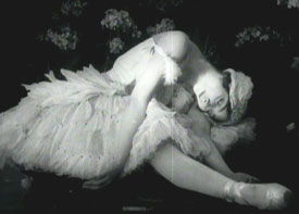 The Dying Swan