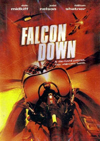 Falcon Down