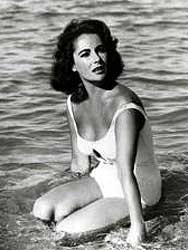 Suddenly, Last Summer