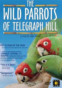 The Wild Parrots